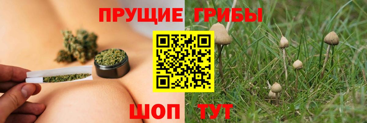 Псилоцибиновые грибы Psilocybe  наркотики  Вход с VPN  Елабуга  Псилоцибиновые грибы MAGIC MUSHROOMS 